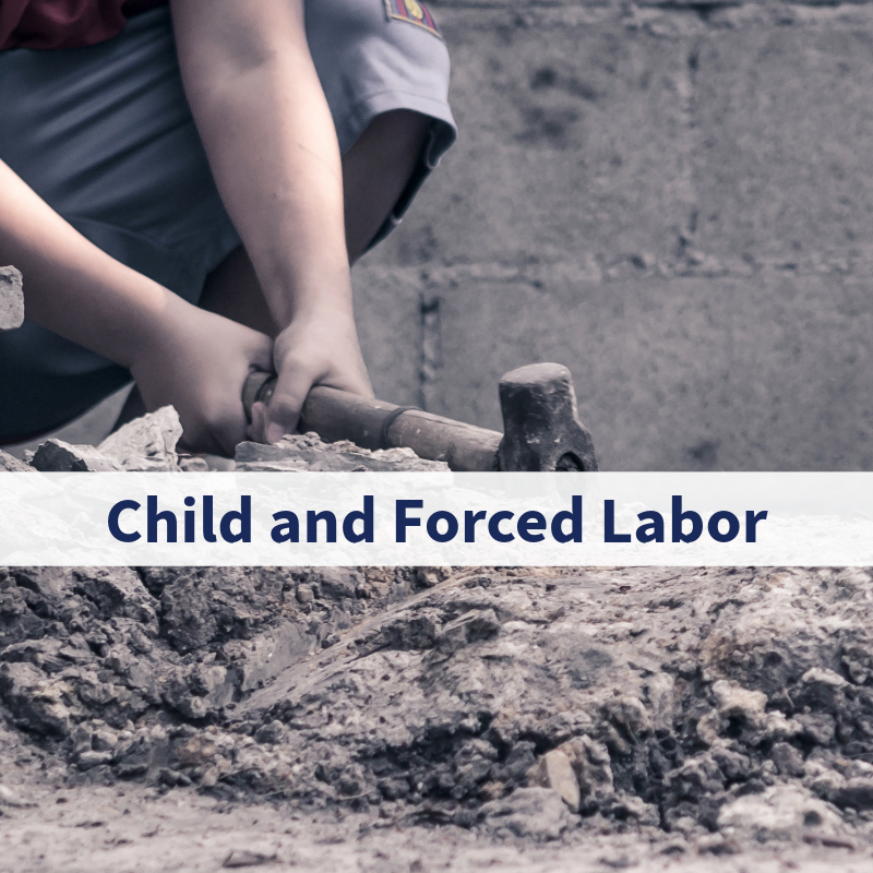 Child and Forced Labor