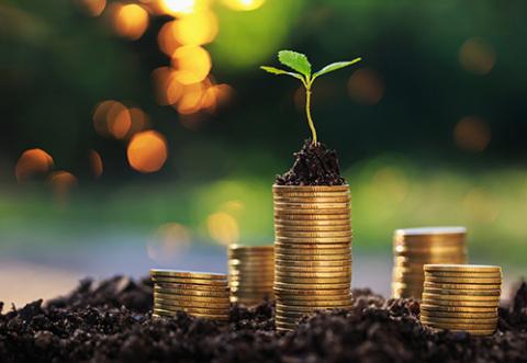 Piles of coins with seeds sprouting from them