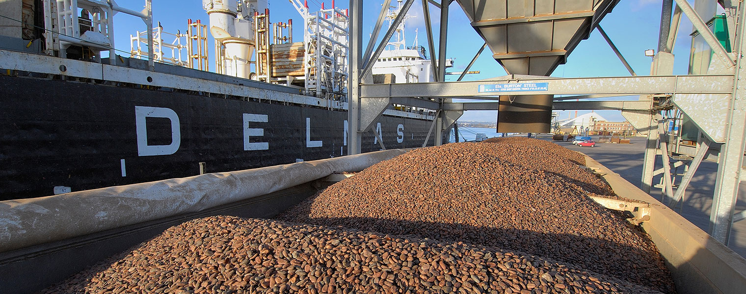 shipping container full of cocoa beans