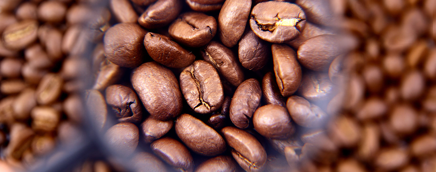 coffee beans with magnifying glass close up