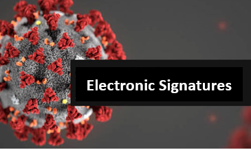 Electronic Signatures