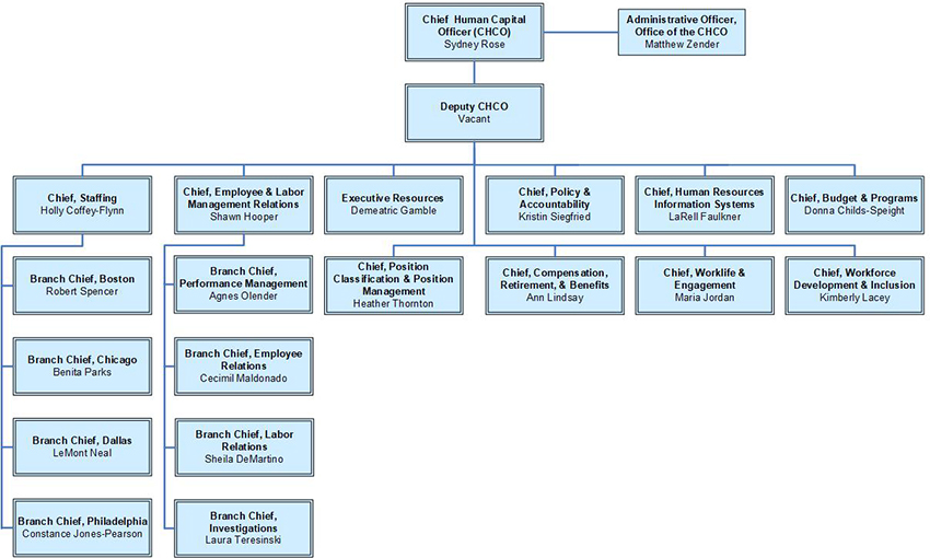 Human Resources Department Organizational Chart Focus