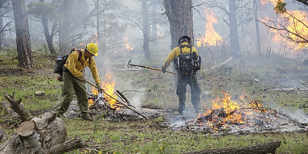 Two firefighters conduct prescribed pile burning in Grand Canyon National Park.