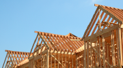 Housing frames, viewed from the ground.