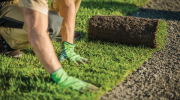 Close-up of a professional landscaper laying rolls of turf grass.