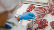 A meat processor wearing protective gear, including gloves, goggles and a mask.