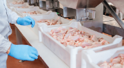 Tubs of raw chicken in front of industrial equipment at a meat factory. The gloved hands of a worker reach toward the production line.