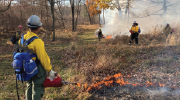 Students in safety gear help to suppress a fire that is burning in a grassy area near a woods. 