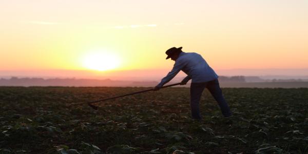 Farmworker wearing a hat on a field with a raking tool, behind him is a sunset. 