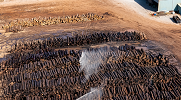 Aerial view of a sawmill yard showing piles of logs outdoors.