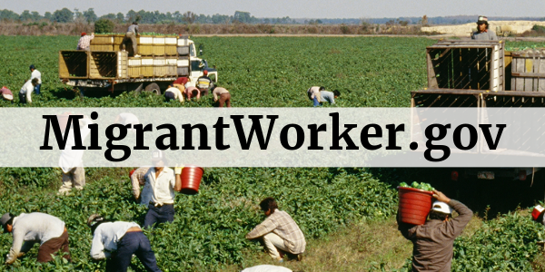 MigrantWorker.gov Text over a photo of workers carrying vegetables to trucks from the field.