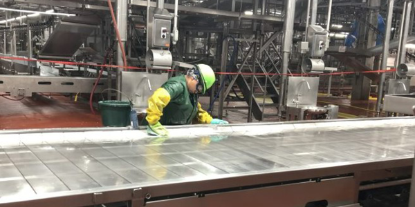 A small child in gloves, goggles and other safety gear scrubs down machinery in a meatpacking facility.