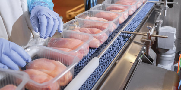 A factory worker with blue gloves placing raw poultry in plastic containers