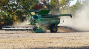 A green grain harvester being used to gather dry crops in a soybean field with trees in the background. 