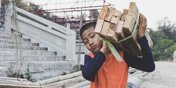 A child carries a bundle of wood planks on his shoulder at a construction site.