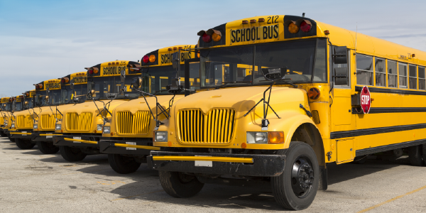 A row of school buses in a parking lot. 