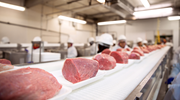 Close-up of thick cuts of raw pork beef on conveyor belt in a meat processing facility. Workers are stationed every few feet along the line. 