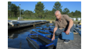 Older man with white hair and mustache crouching next to commercial fishpond.