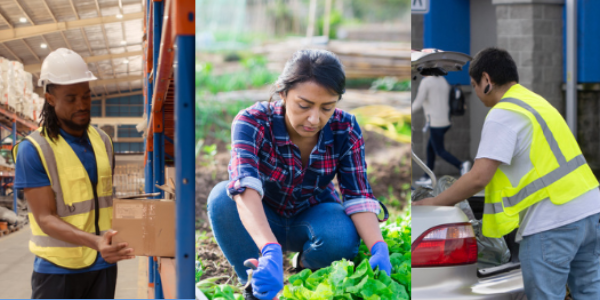 Three images highlighting various work industries: a person in a warehouse, a farmworker in a field, and another person putting items in a car trunk outside a retail store.