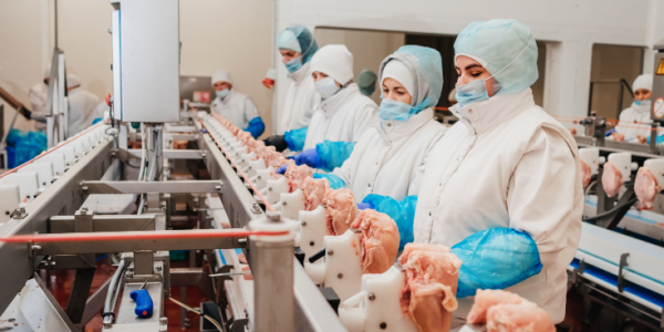 Poultry workers wearing PPE on a poultry processing line.  