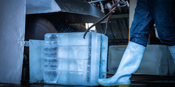 Employee removes large ice block from industrial ice machine