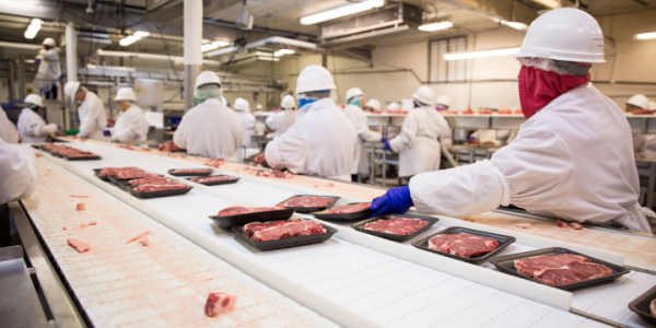 Workers wearing PPE are packaging raw meat products on an assembly line.