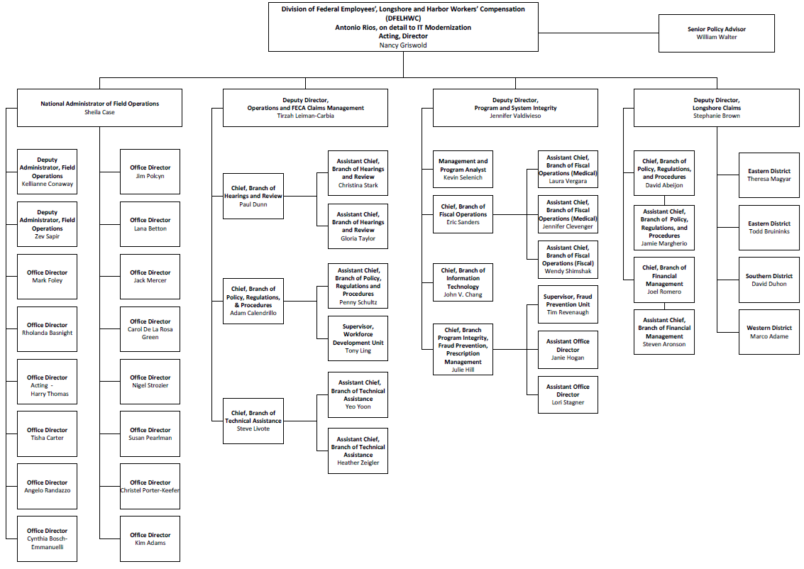 DFELHWC Organizational Chart