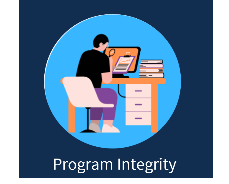 Program Integrity icon. Person with a magnifying glass at a computer monitor.