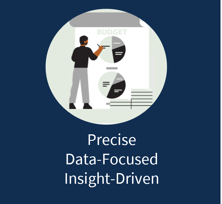 Precise Data-Focused Insight Driven