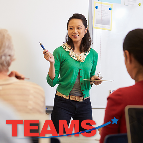 Woman leading a TEAMS workshop.