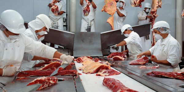 Meat Processor, Staffing Agency Ordered to Give up $327K in Profits From Oppressive Child Labor