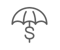 finance protection icon
