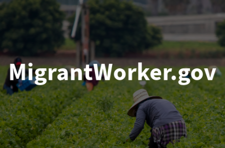 Migrant Worker Gov